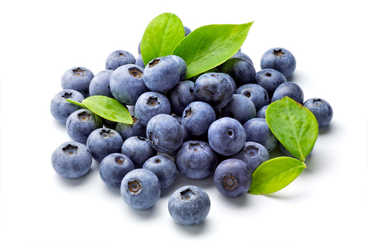 blueberries بذر بلوبری خرید پستی